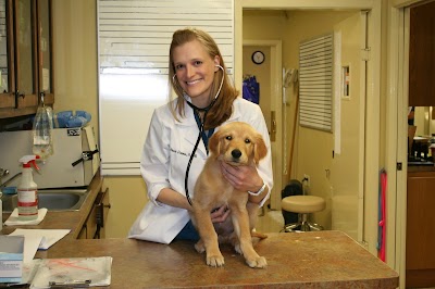 Van Stavern Small Animal Hospital