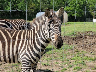 Eureka Springs Safari Park