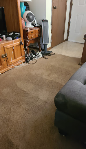 Ecozyme Carpet Clean - Thumbnail