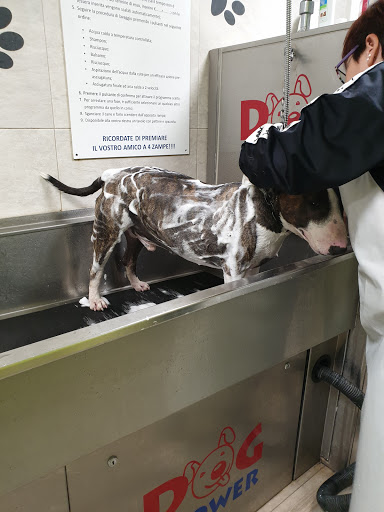 Dog Shower Point Macerata - Thumbnail