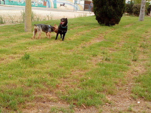 Pintor Lorenzo Aguirre Park - Thumbnail