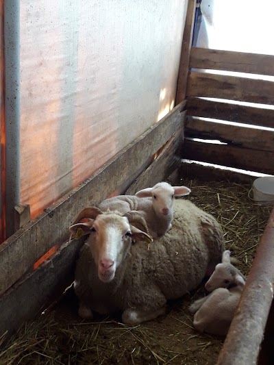 Photos of Ķurt &Ccedil;iftlik Et S&uuml;t