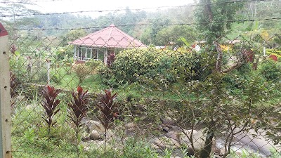 Photos of Pradilla Mesitas Del Colegio