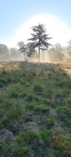 parkeren mtb sleen Gallery - Netherlands