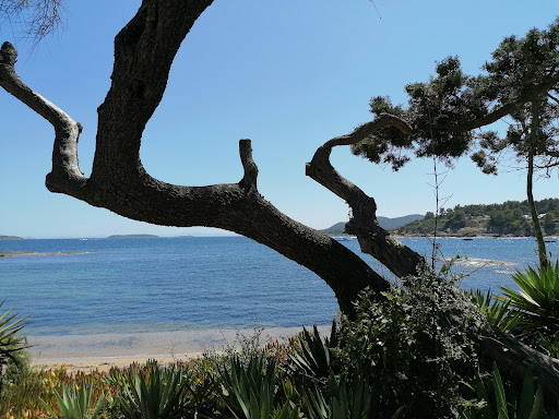 BarPlage de la Chiappa - Thumbnail