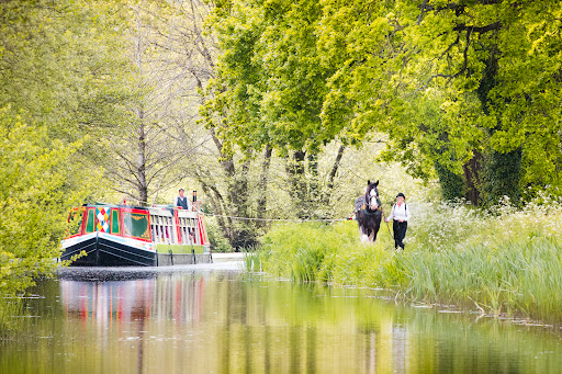 Visit Mid Devon - Visual