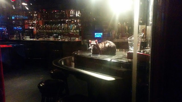 Surprise Bar