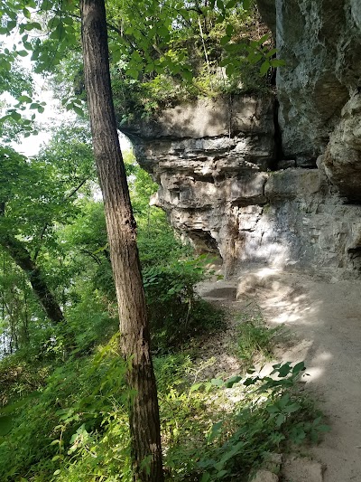 Lakeside Forest Wilderness Area