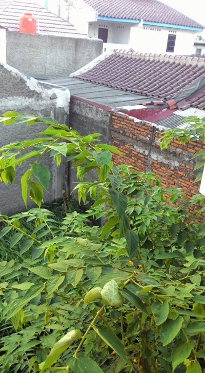 Photos of Roundabout Graha Prima