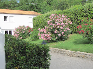 Photo n°18 de Logis de La Palmeraie à Les Mathes (Piscine)