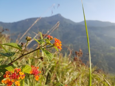 Photos of Corbet's View