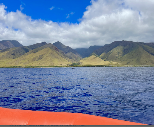 Maui Pacific Divers & Private Charters - Thumbnail