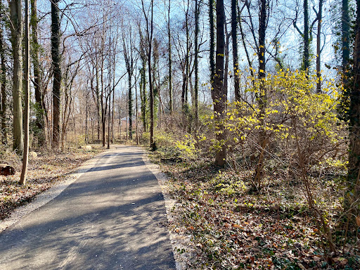 Dale Lestina Park - Thumbnail