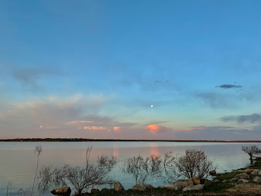 Lake Grapevine - Visual