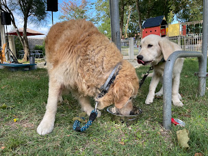 Photo n°23 de Camping Municipal Le Rayonnement à Rochefort (Terrain de camping)
