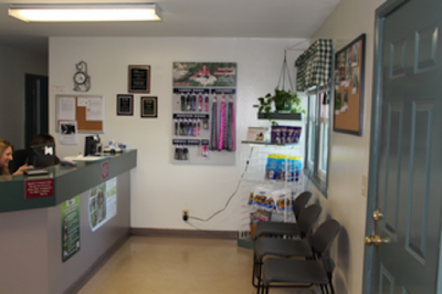 veterinary-care