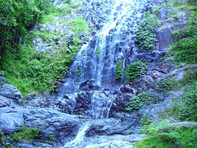 Parc national Dorrigo