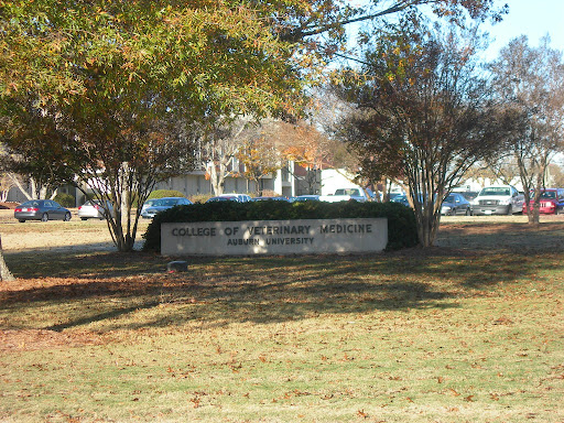 Auburn University College Of Veterinary Medicine - Thumbnail