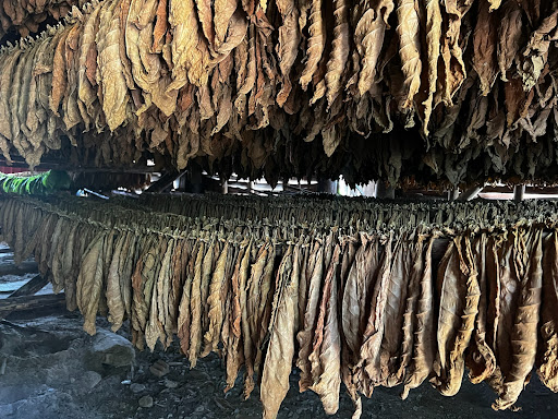 Gardner Tours - Visual