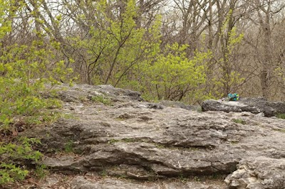 Hanging Rock National Natural Landmark