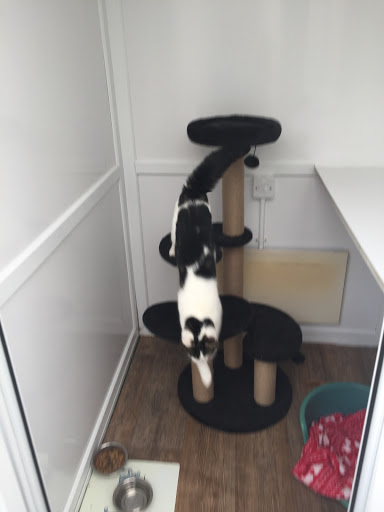 Browside Cattery - Thumbnail