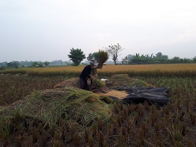 Photos of Pemancingan Candra Kirana