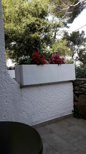 Radno vrijeme Galijot Plava Laguna