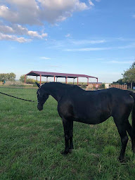 Photo n°1 de Centre Équestre la Grange Beyhac et Caillau à Beychac-et-Caillau (Centre équestre)