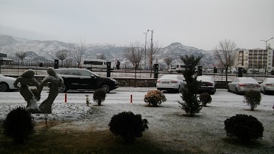 Photos of Anemon