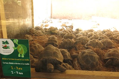 Photos of La Vanille Crocodile Park
