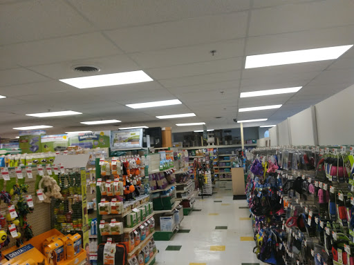 Pet Supplies Plus Novi - Thumbnail