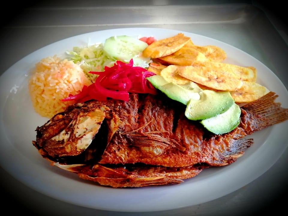 Santo Coyote Restaurant