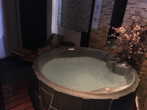 Wolf Spa - Visual