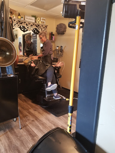 Shear Vanity - Visual