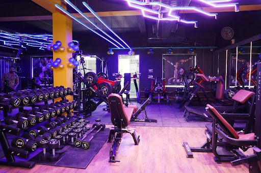 Alligator gym & Fitness Studio | Paharganj