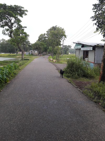 Photos of Binoi Bazar Jame Mosque