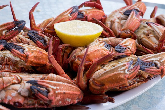 La taberna de torrelodones