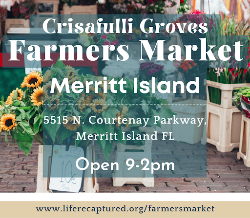 Merritt Island Farmers Market at Crisafulli Groves - Thumbnail