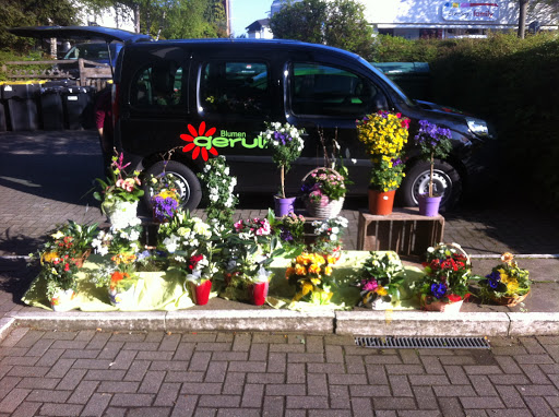 Blumen Gerull
