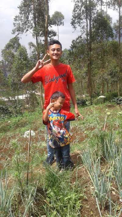 Photos of Taman Air Sarang Tengah