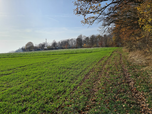 Parkplatz am Tierheim