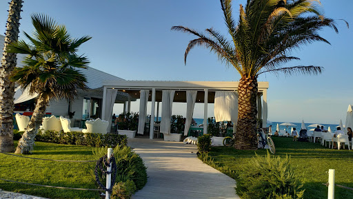 Supporter Beach - Visual