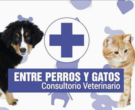 Veterinaria Entre Perros Y Gatos, Author: Sabrina Passarelo