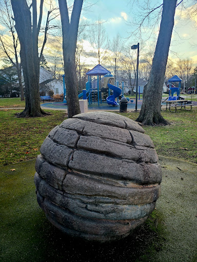 Pingree Park - Visual