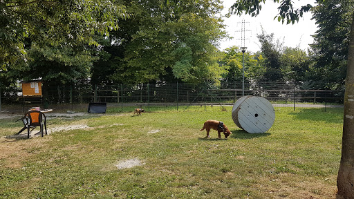 Parco pubblico Ana Gallery - Italy