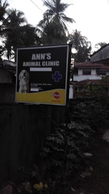 Ann's Animal Clinic, Author: Gayan Thilakarathne