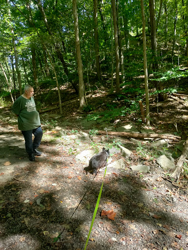 Babb Run Bird and Wildlife Sanctuary - Thumbnail