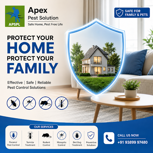 ✅ Safe for Family & Pets