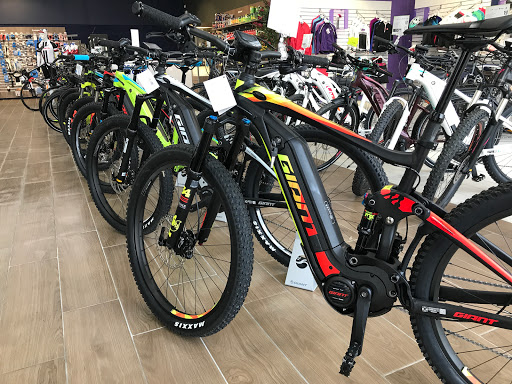 Véloland Cognac REVbikes - Thumbnail