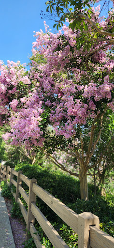 Imperial Park - Thumbnail